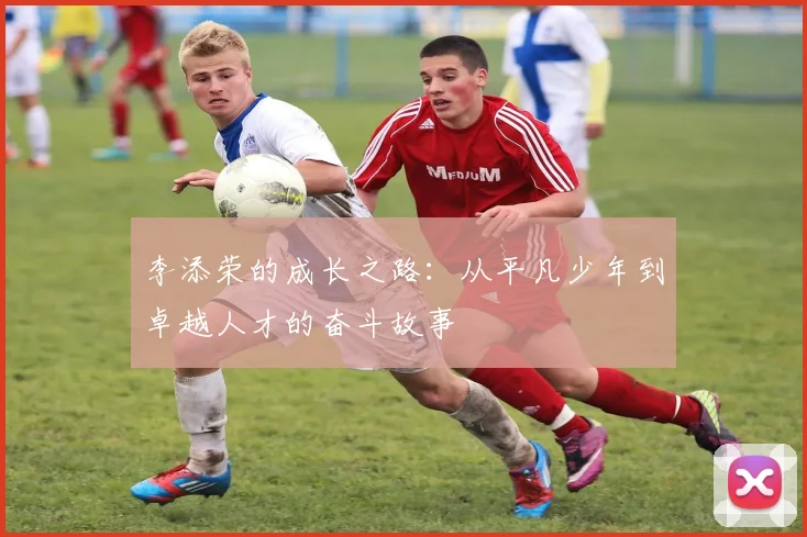 李添荣的成长之路：从平凡少年到卓越人才的奋斗故事