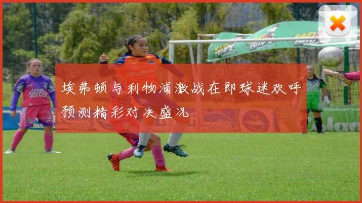 埃弗顿与利物浦激战在即球迷欢呼预测精彩对决盛况