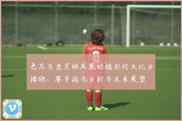 悉尼与惠灵顿凤凰的精彩对决比分揭晓，赛季战况分析与未来展望
