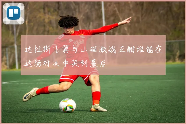 达拉斯飞翼与山猫激战正酣谁能在这场对决中笑到最后